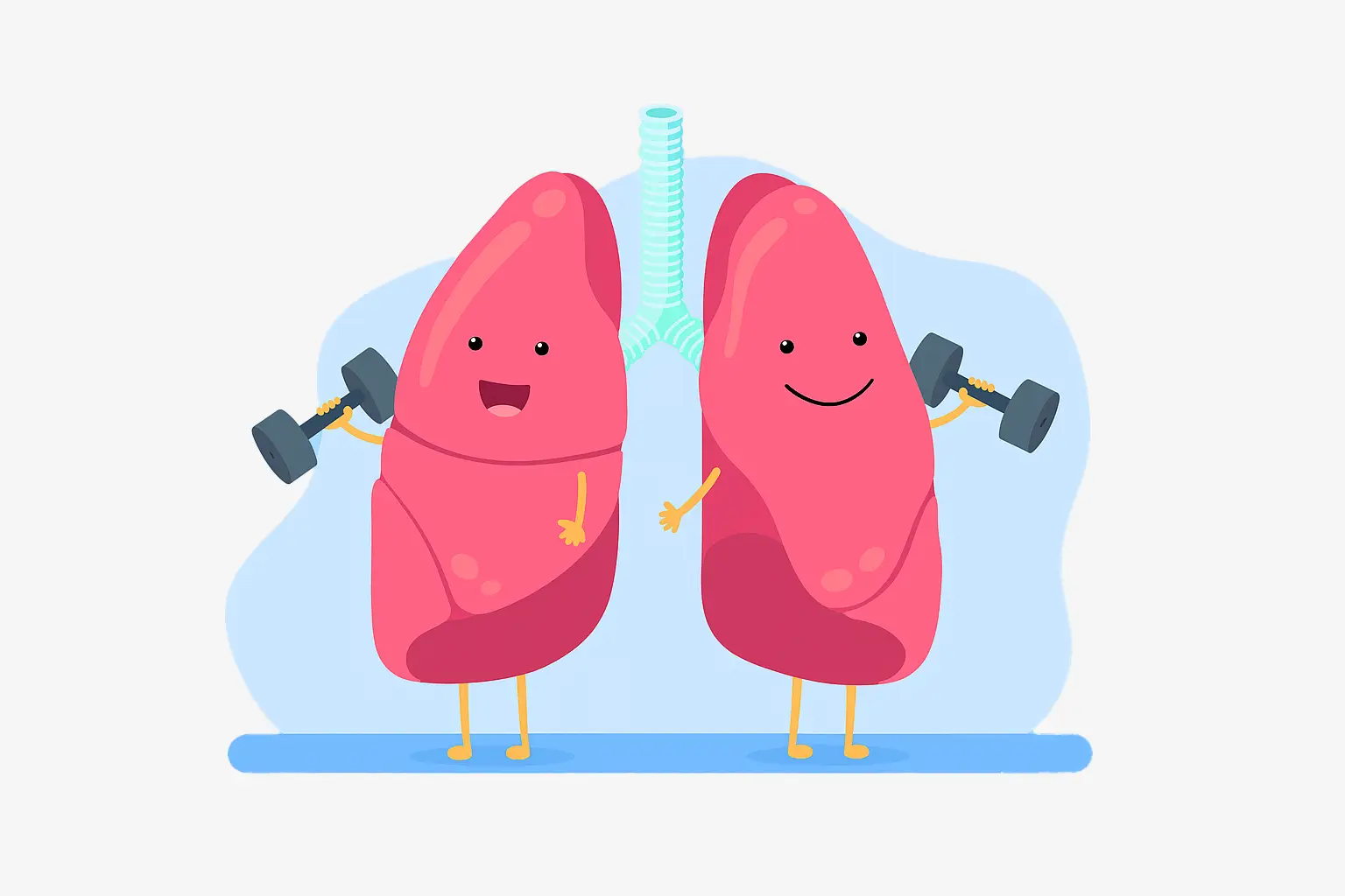 Ilustración de dos pulmones ejercitando los musculos respiratorios con pesas.