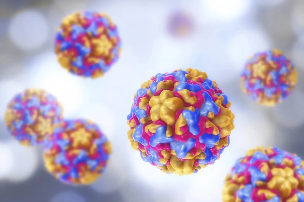 Imagen 3D de varios rhinovirus